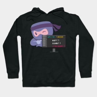 Code Ninja Software Engineer Developer Hoodie